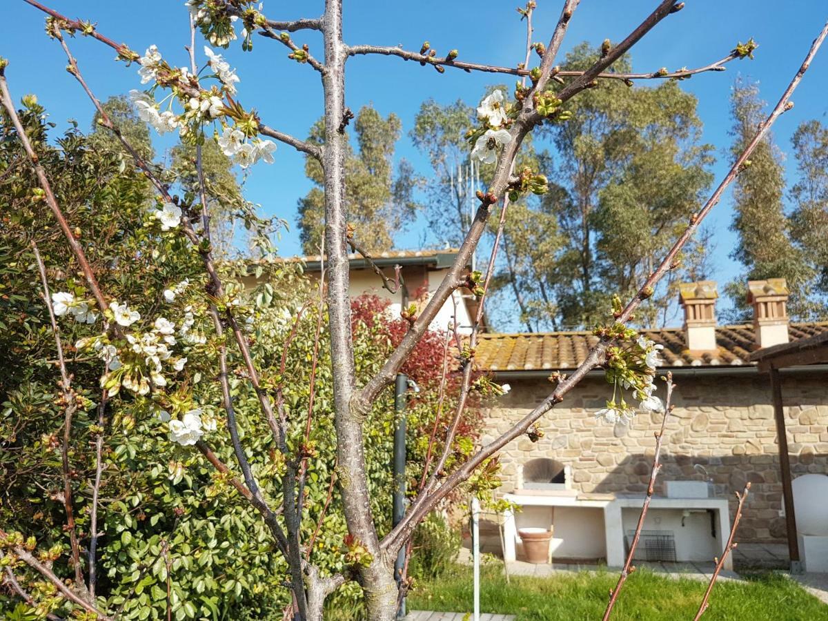 Villino Il Paduletto Villa Casa Paduletto Bagian luar foto